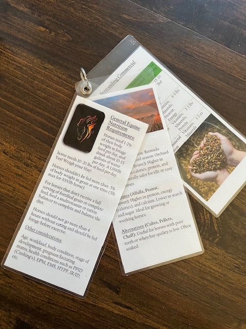 General Equine Nutrition